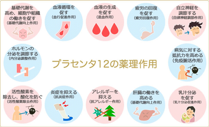 プラセンタ 12の薬理作用